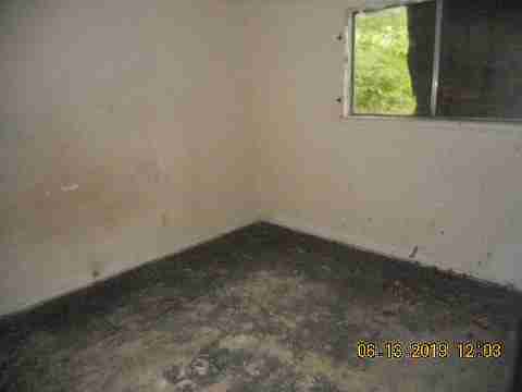 15017 Dolphin (19)_m.jpg